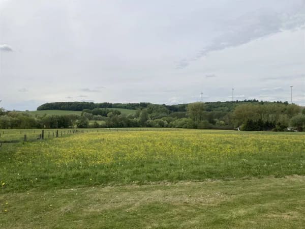 Immobilie in Schlüchtern - Wer Platz für Familie,Beruf oder Hobby benötigt ist hier angekommen. - Bild 0