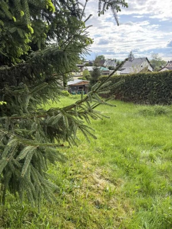 Immobilie in Rodewisch - 08228! Beliebte Lage - Familie für eine Doppelhaushälfte gesucht! - Bild 2