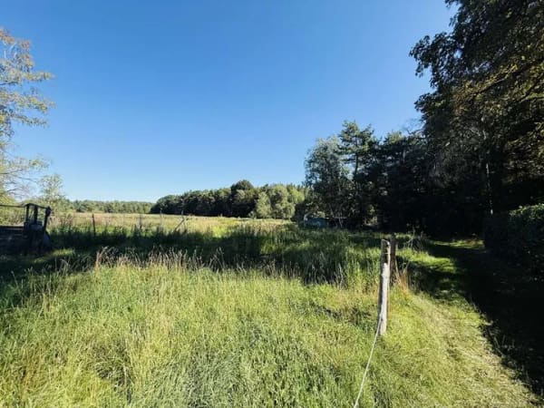 Immobilie in Wiesenburg/Mark - Pferde, Hunde, Hühner? Platz genug! Bezugsfertiges Anwesen am Waldrand - Bild 3