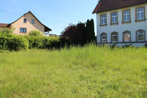 Immobilie in Speichersdorf - Historisches Anwesen mit Charakter – viel Platz für Familie, Wohnen & Vermieten - Bild 3