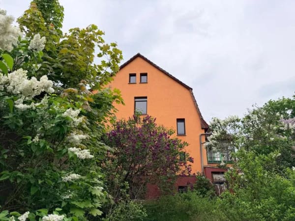 Immobilie in Grünheide (Mark) - Sanierungsobjekt auf großzügigem Grundstück im Ortsteil Fangschleuse - Bild 3