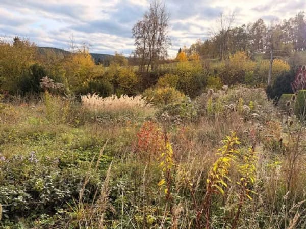Immobilie in Jena - Baugrundstück in Jena und Umgebung gesucht - 500€ Vermittlungsprämie! - Bild 2