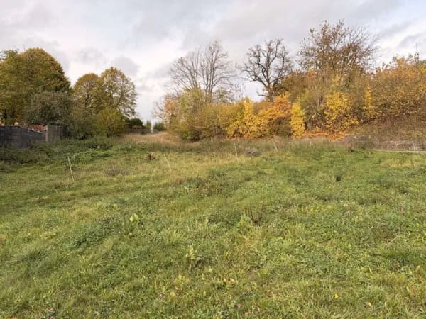Immobilie in Jena - Baugrundstück in Jena und Umgebung gesucht - 500€ Vermittlungsprämie! - Bild 3