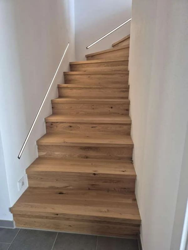 Immobilie in Waldenburg - Exklusives KFW 40+ Haus mit ELW, Smart Home und PV Anlage und Sauna - Bild 4