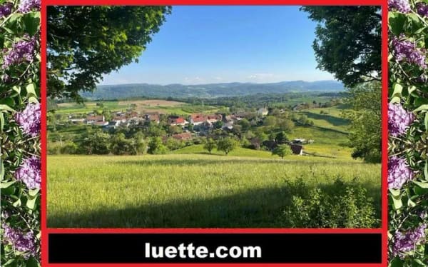 Immobilie in Dogern - Charmantes, gepflegtes, regelmässig renov. EFH mit idyllischem Gartenfreisitz und hochwertiger Au... - Bild 0
