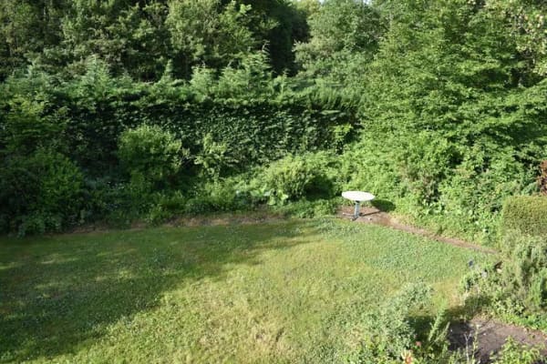 Immobilie in Bernkastel-Kues - Wohnen am Kurpark – viel Raum für Familie, Leben und neue Möglichkeiten - Bild 2