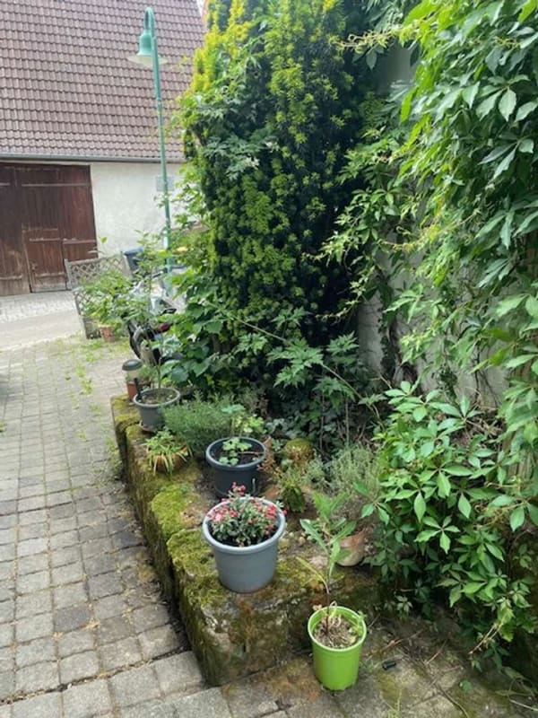 Immobilie in Schlaitdorf - Gemütliche 2,5-Zi-Wohnung im Bauernhausstil in Schlaitdorf- Selbstbezug oder Vermietung! - Bild 3