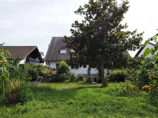 Immobilie in Waldsee - Kapitalanlage: Vermietete 2-Zimmer-Wohnung in idyllischer Waldsee-Feldrandlage - Bild 4