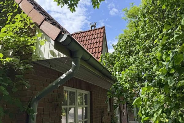 Immobilie in Hanstedt - Dornröschen liegt in wunderbarer Lage! - Bild 3