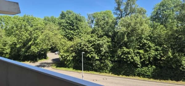 Immobilie in Schönberg (Holstein) - Eigentumswohnung am Zipfel vom Paradies mit Meeresluft - Bild 0