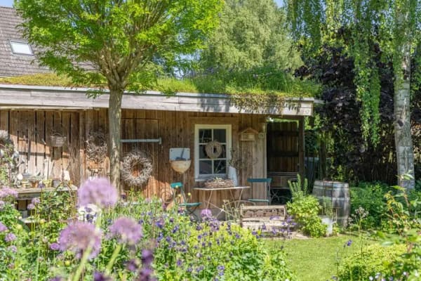 Immobilie in Beschendorf - Kernsaniertes reetgedecktes Bauernhaus im Traumgarten - Bild 2