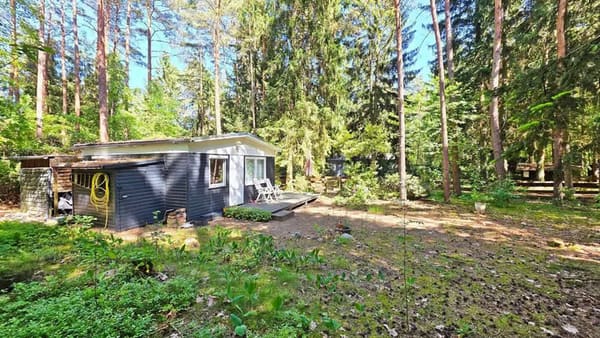 Immobilie in Essel - Niedliches Wochenendhaus - umfassend renoviert - Bild 4