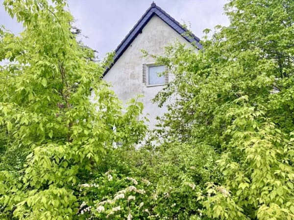 Immobilie in Werneuchen - Werneuchen - Krummensee! Individuelles Einfamilienhaus mit vielen Möglichkeiten - Bild 1