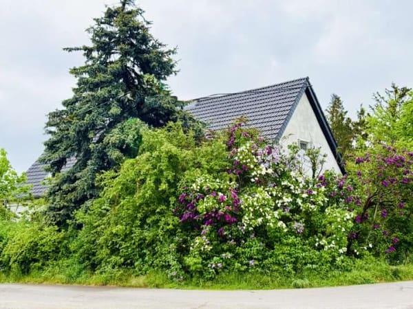 Immobilie in Werneuchen - Werneuchen - Krummensee! Individuelles Einfamilienhaus mit vielen Möglichkeiten - Bild 2