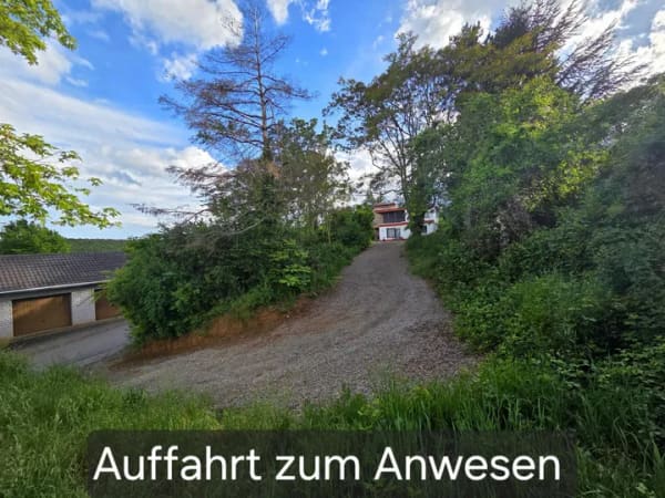 Immobilie in Battenberg (Pfalz) - Traumhafte Lage - Haus auf 2000qm Grundstück - 67271 Battenberg - Bild 3