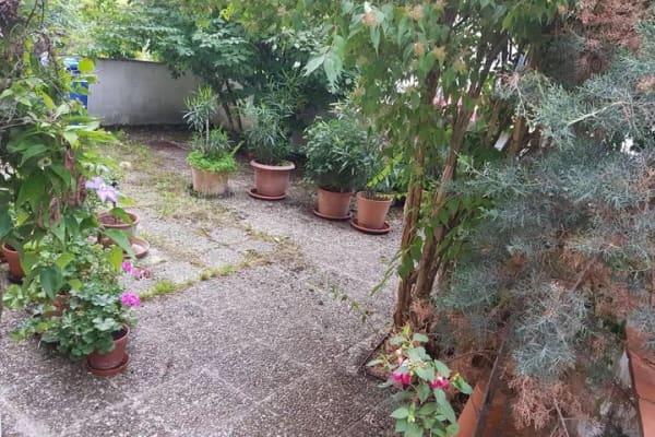 Immobilie in Regen - Wohn- und Geschäftshaus in gut frequentierter Lage in Regen - Bild 3
