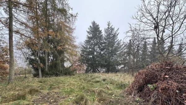 Immobilie in Kremmen - "Dein Projekt. Dein Garten. Dein Zuhause." - Bild 0