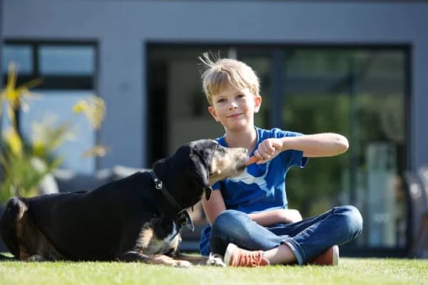 Immobilie in Colmberg - Kurze Wege, großer Garten, glückliche Kinder - Bild 0