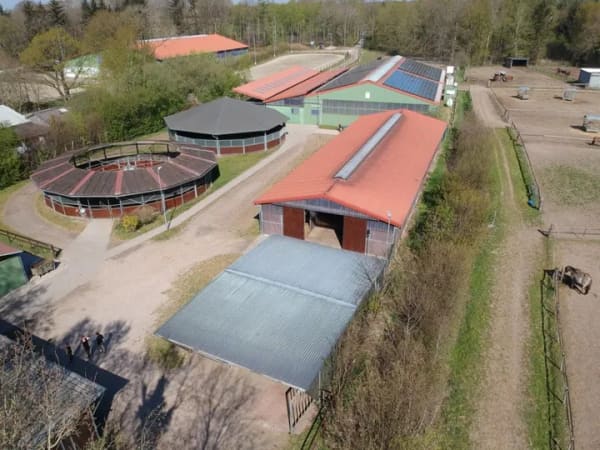 Immobilie in Nordhastedt - Bauernhaus in Nordhastedt - Bild 2