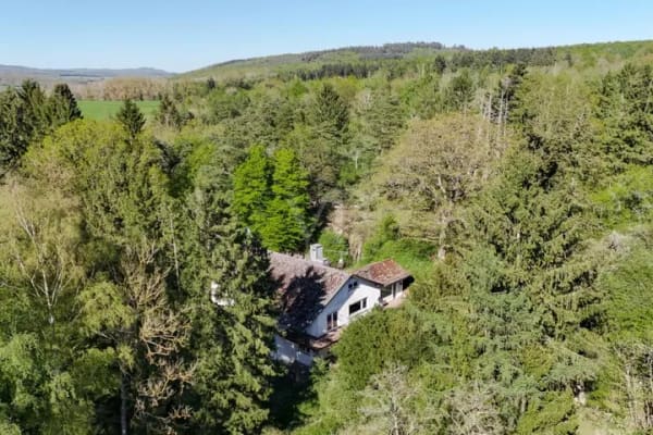 Immobilie in Usingen - Bauernhaus in Usingen - Bild 1