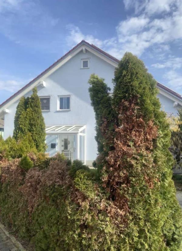 Immobilie in Großrinderfeld - Wunderschönes 2-Familienhaus mit Balkon, Terrasse und Doppelgarage  - Bild 0