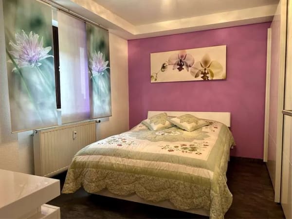Immobilie in Hemhofen - Sofort einziehen oder vermieten...Möblierte 2-Zi.-UG-Wohnung in Hemhofen - Bild 4