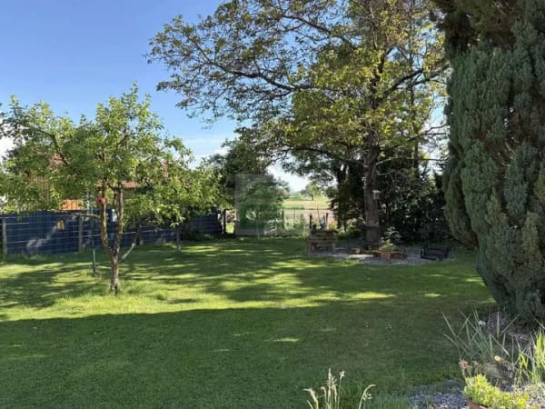 Immobilie in Willstätt - Freistehendes Einfamilienhaus mit großem Garten in Legelshurst - Bild 2