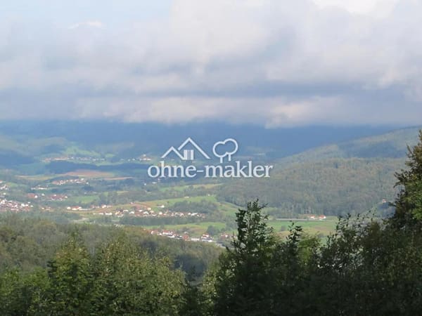 Immobilie in Schöfweg - Landhaus, 3 Wohnungen, Alleinlage, unverbaubarer Fernblick, Südlage, Urlaubsregion Sonnenwald - Bild 1