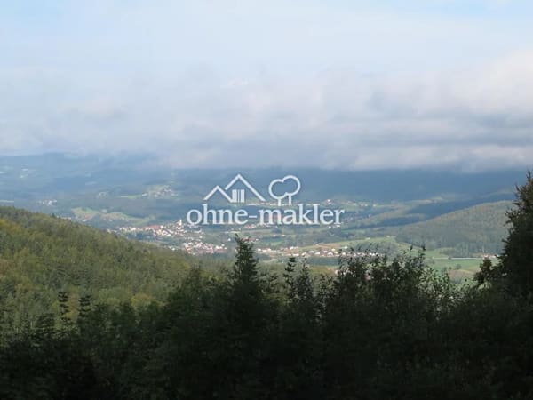 Immobilie in Schöfweg - Landhaus, 3 Wohnungen, Alleinlage, unverbaubarer Fernblick, Südlage, Urlaubsregion Sonnenwald - Bild 3