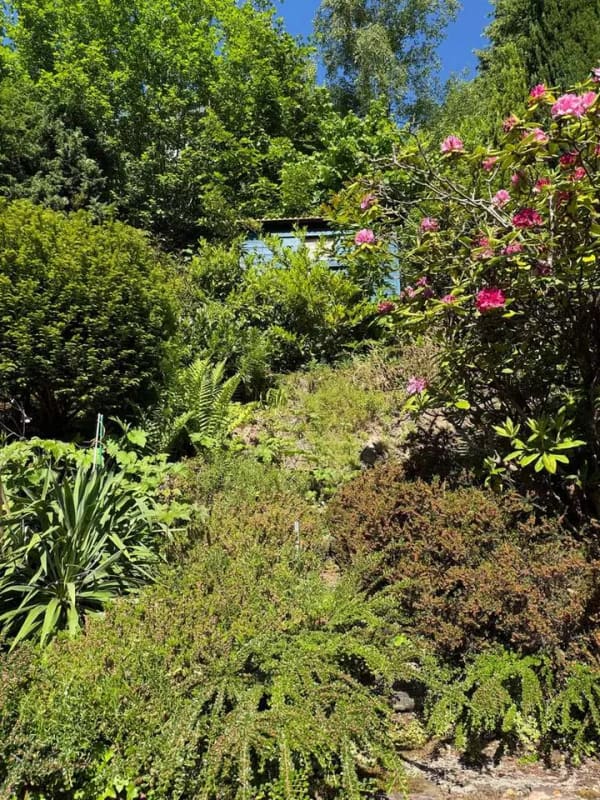 Immobilie in Wilhelmsfeld - Freistehendes Einfamilienhaus mit Garten in Wilhelmsfeld – ideal für Familien - Bild 1