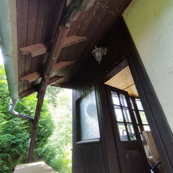 Immobilie in Frankenstein - Schönes Ferienhaus im Schliertal / Frankenstein - Bild 1