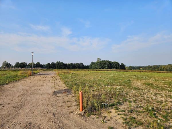 Immobilie in Hankensbüttel - Inkl. Grundstück, das clevere Raumwunder 100 in Hankensbüttel. - Bild 3
