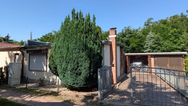 Immobilie in Osternienburger Land - Freizeitbungalow am Löbitzsee - Bild 0