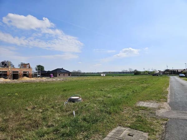 Immobilie in Leese - Mit Grundstück, das clevere Raumwunder 100 in Leese. - Bild 3