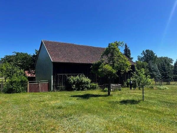 Immobilie in Neißemünde - Einfamilienhaus in Neuzelle: Ortsrand, Garten, Scheune - Bild 1