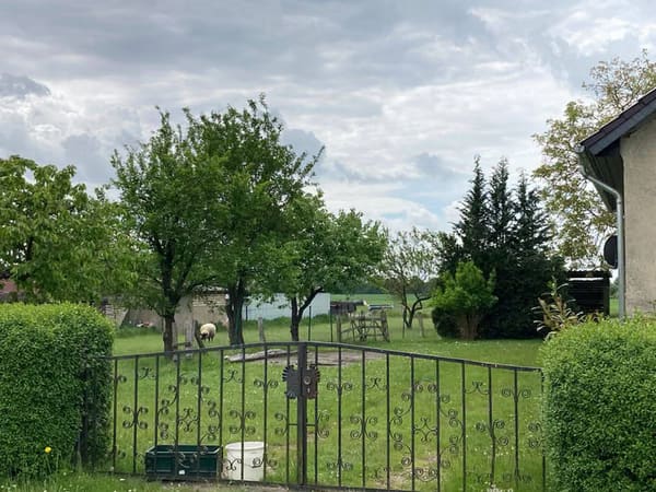 Immobilie in Großwoltersdorf - Ruhige Wohnlage mit Weitblick - Bild 3