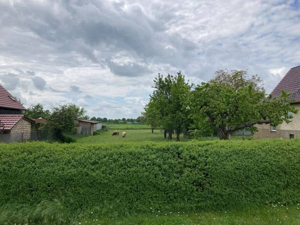 Immobilie in Großwoltersdorf - Ruhige Wohnlage mit Weitblick - Bild 4