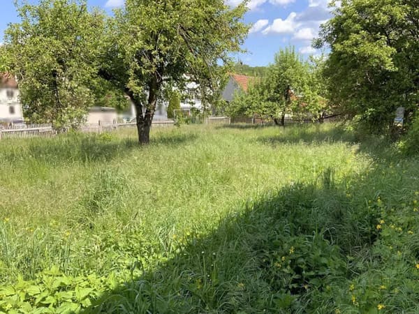 Immobilie in Oberoppurg - bewohne Deinen Traum - Bild 2