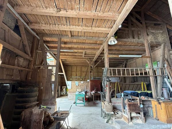 Immobilie in Hörsel - Selbstversorger aufgepasst- Bauernhof mit 6.010 m² Grundstück, Scheune, Wohnhaus mit 2 Wohneinheiten - Bild 4