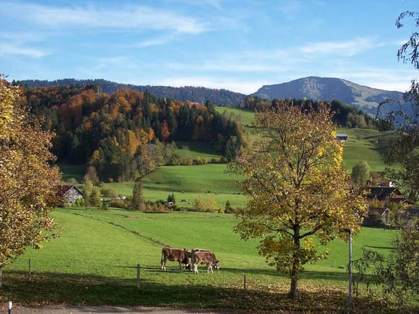 Immobilie in Oberstaufen - Privatverkauf EFH in Oberstaufen-Weißach, - Bild 0