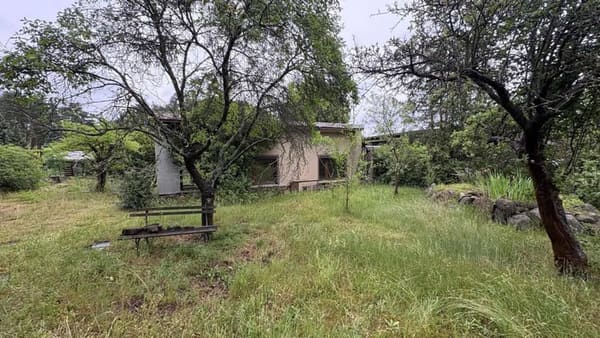Immobilie in Bad Muskau - Mužakow - Ebenerdiges Wohnen in ruhiger Wohnlage - Bild 3