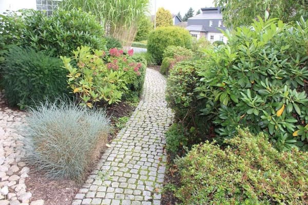 Immobilie in Pluwig - Familienfreundliches Einfamilienhaus mit schöner Einliegerwohnung und Garten sowie großer Doppelgarage in Pluwig - Bild 4
