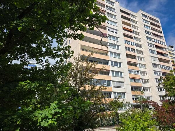 Immobilie in Offenbach am Main - Kapitalanlage mit Potenzial – Vermietete 2-Zimmer-Wohnung direkt am Main - Bild 0