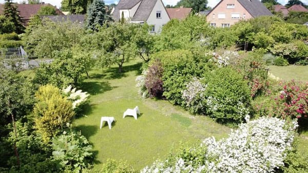 Immobilie in Ludwigslust - Obstbäume, Terrasse, Kamin und viel Raum für Familie, Hobby oder Homeoffice  - Bild 4
