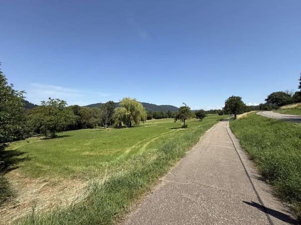 Immobilie in Waldkirch - Naturnah wohnen – Charmante und idyllisch gelegene 3 Zi. Wohnung am Kandelberg in Waldkirch ! - Bild 2