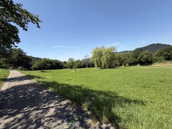 Immobilie in Waldkirch - Naturnah wohnen – Charmante und idyllisch gelegene 3 Zi. Wohnung am Kandelberg in Waldkirch ! - Bild 3