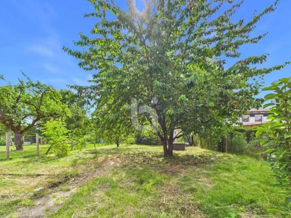 Immobilie in Kyritz - Ein Haus für Macher und Gestalter | 93 m² Wohnfläche | Scheune - Bild 3