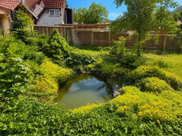 Immobilie in Ilsenburg - 1-2 Familienhaus auf 180 m² Wohnfläche, 1.500 m² Grundstück, 2 Garagen und großzügiger Garten - Bild 3