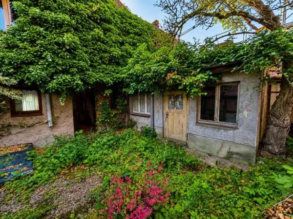 Immobilie in Werben (Elbe) - Historisches Fachwerkhaus mit authentischem Wohngefühl - Bild 2