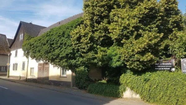 Immobilie in Hilzingen - Wohnhaus mit Ökonomieteil in Hilzingen Weiterdingen! - Bild 1